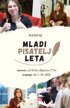 Mladi pisatelj leta